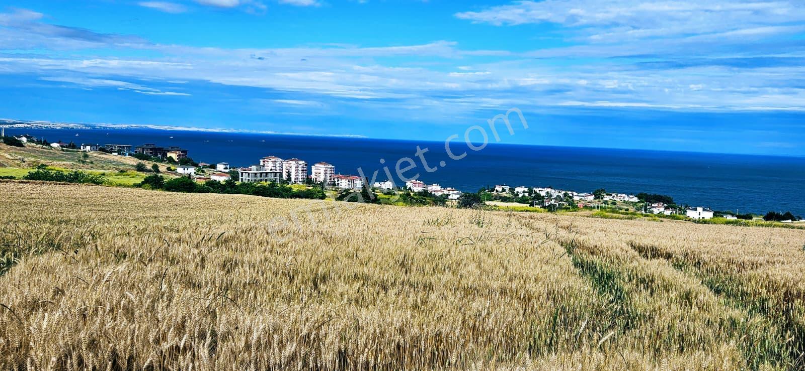 Full Deniz Ve Şehir Manzara Lüxs Havuzlu Yada 100 Adet 2+1 Daire Projesine Uygun Arsa - Görsel 27