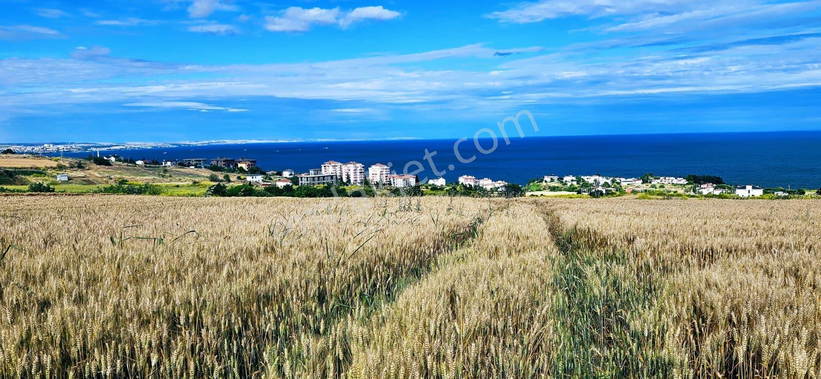 Full Deniz Ve Şehir Manzara Lüxs Havuzlu Yada 100 Adet 2+1 Daire Projesine Uygun Arsa - Görsel 9