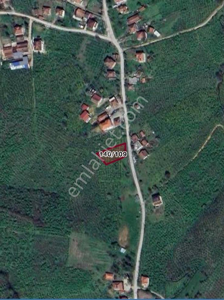 Konut İmarlı Satılık Arsa Ve Fındıklık Karasu Limandere - Görsel 8
