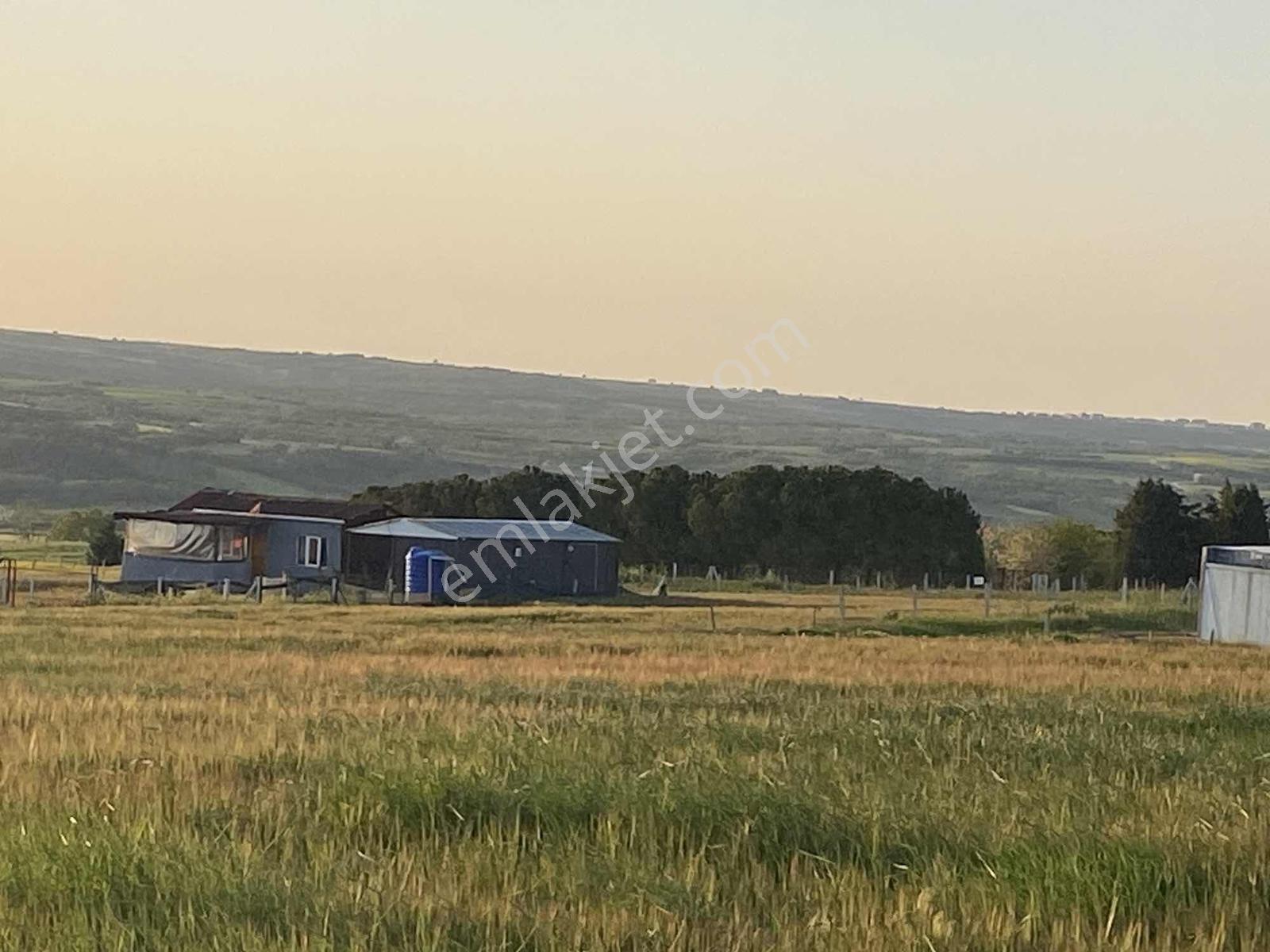 İstanbul Silivri Değirmenköy Sahibinden Satılık 305m Arsa - Görsel 15