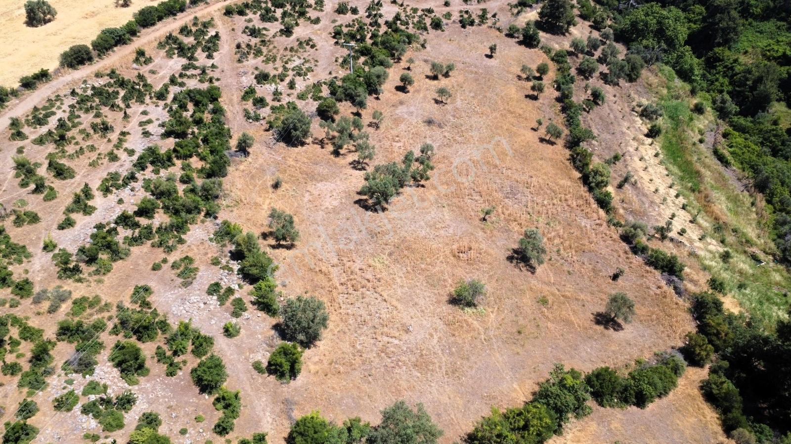 Çanakkale Merkez Civler Köyü Satılık Tarla - Görsel 20