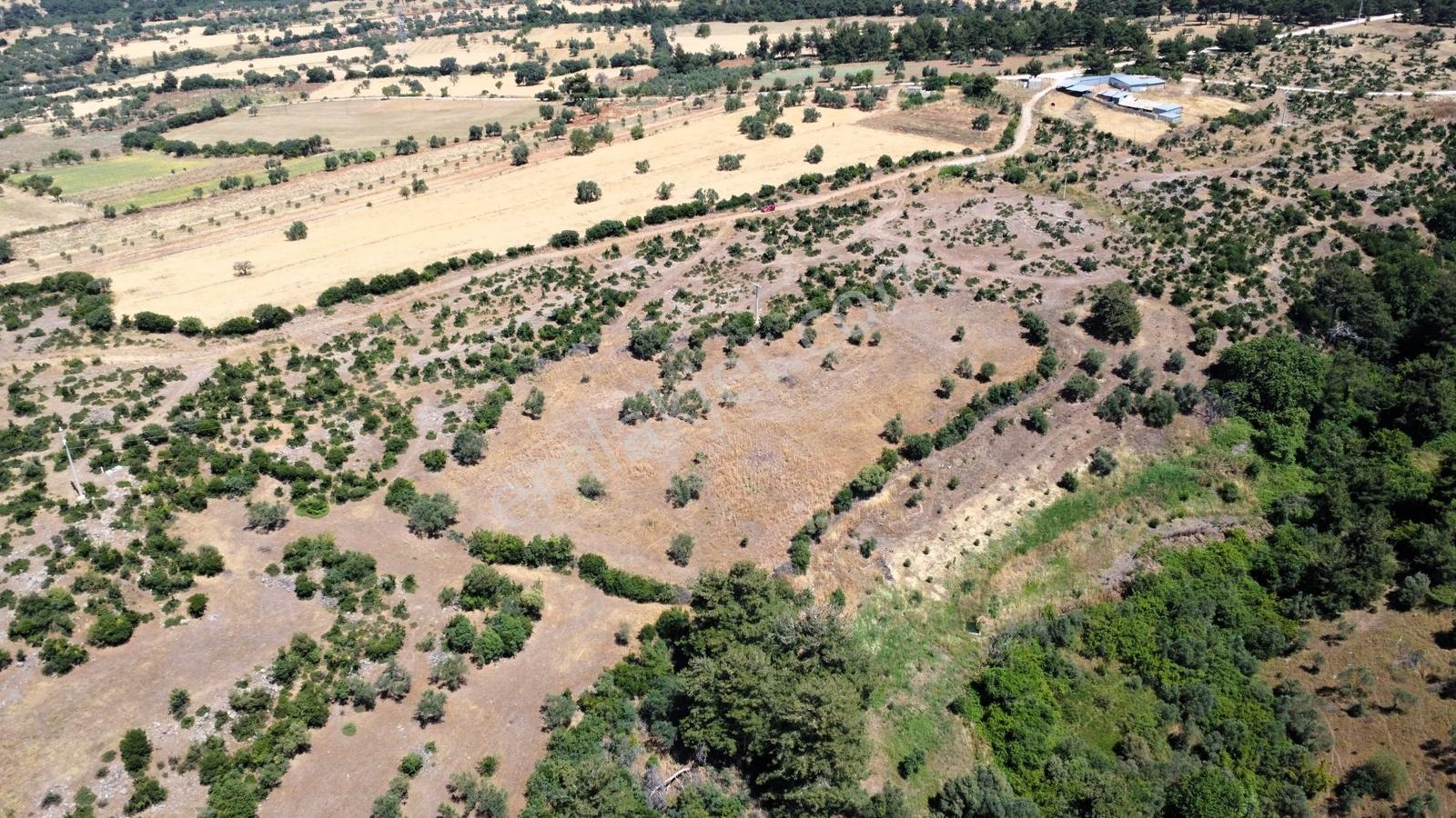 Çanakkale Merkez Civler Köyü Satılık Tarla - Görsel 9