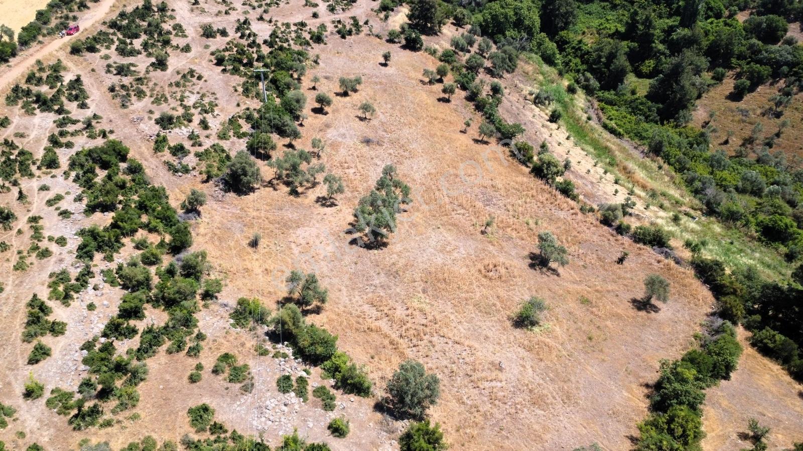 Çanakkale Merkez Civler Köyü Satılık Tarla - Görsel 19