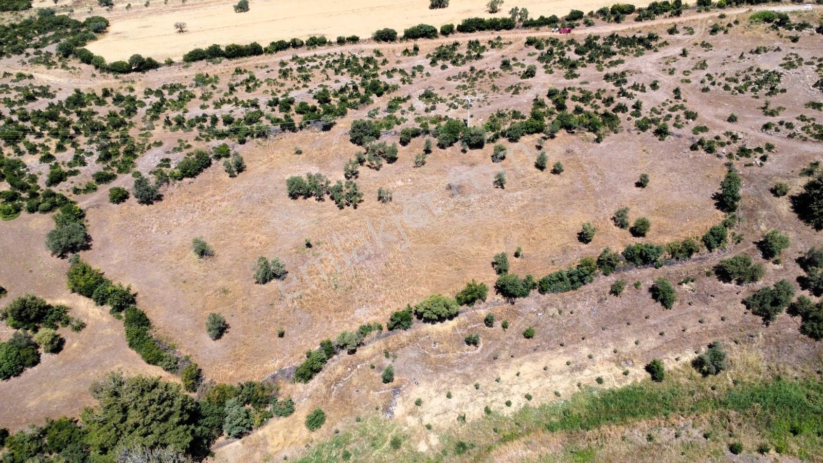 Çanakkale Merkez Civler Köyü Satılık Tarla - Görsel 35