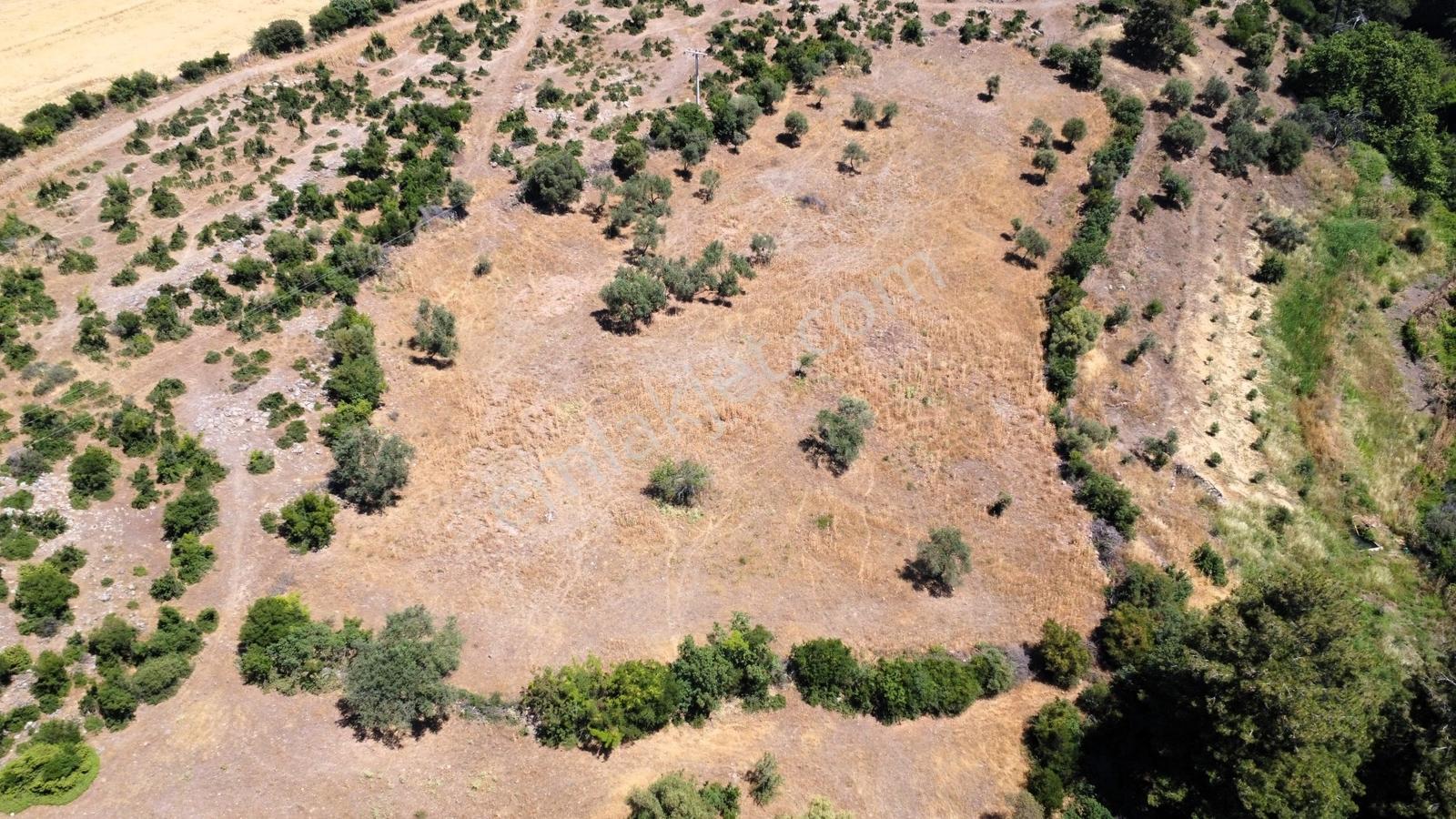 Çanakkale Merkez Civler Köyü Satılık Tarla - Görsel 32