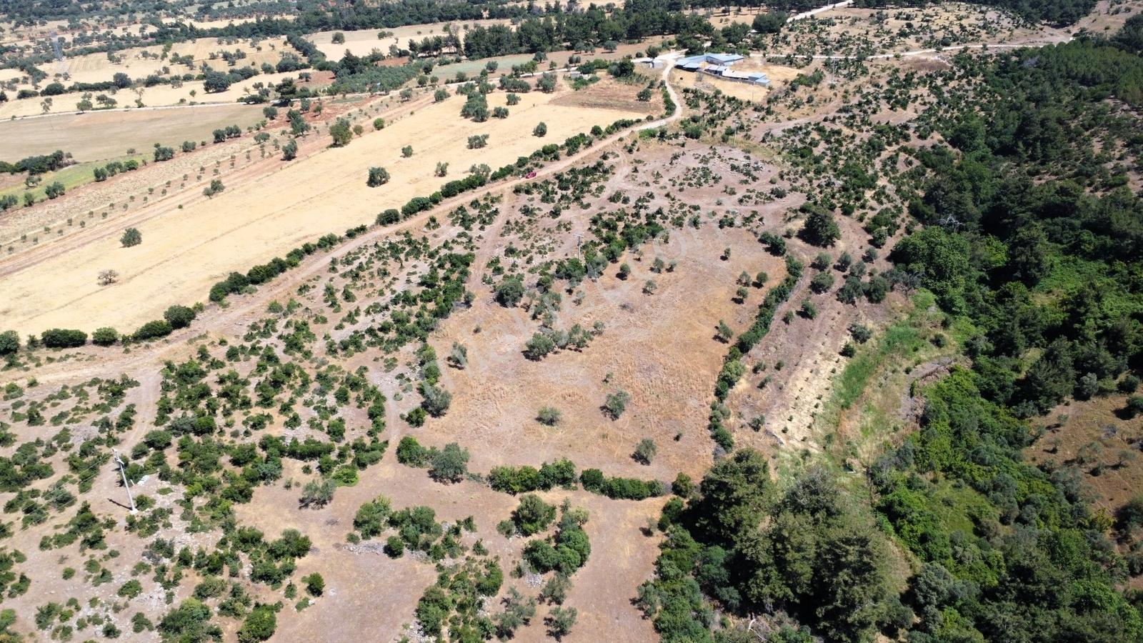 Çanakkale Merkez Civler Köyü Satılık Tarla - Görsel 27