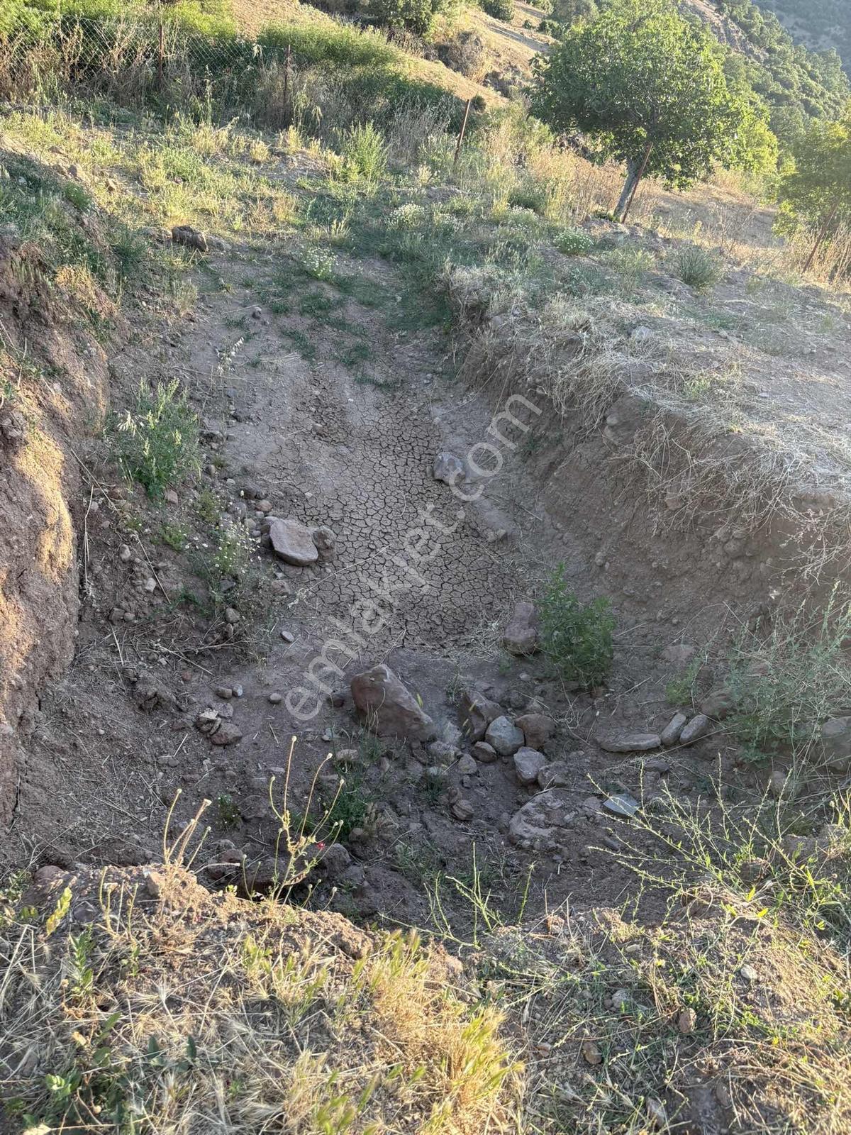 Bergama Avundukta 1066m2 Yatırımlık Müstakil Bahçe - Görsel 5