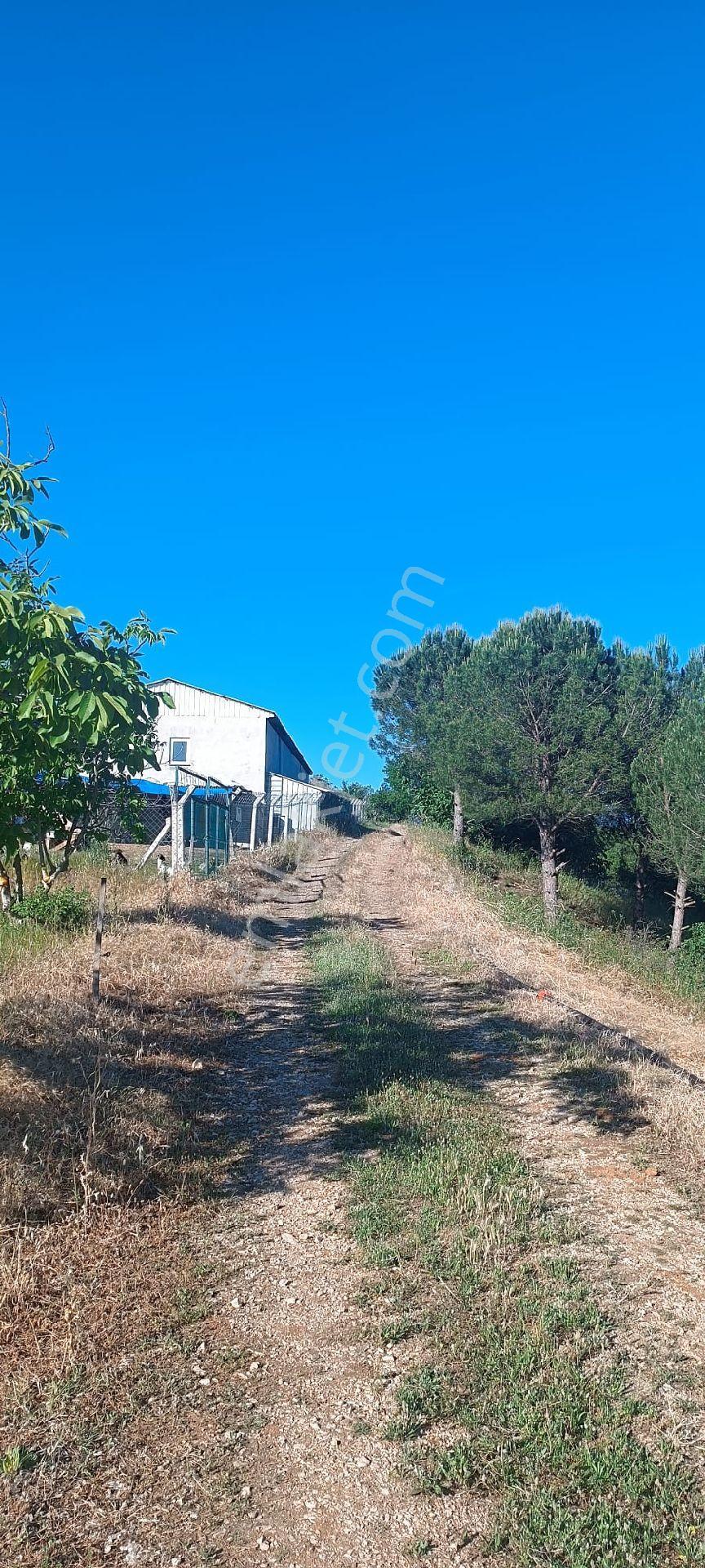 Karacabey Okçularda 2650 M Cevizlik - Görsel 7