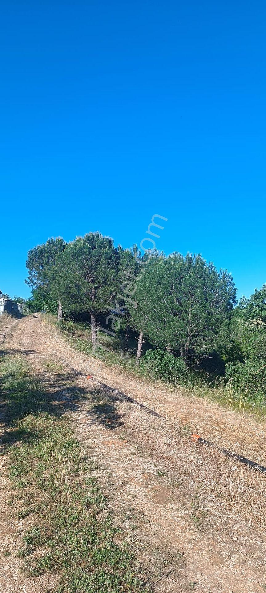 Karacabey Okçularda 2650 M Cevizlik - Görsel 13