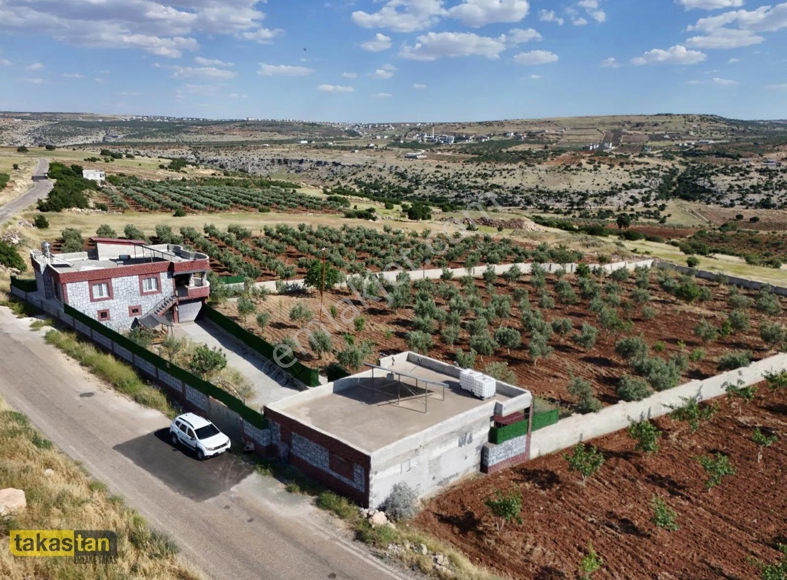 Uğurca'da 4467m² Tek Tapu, Asfaltüstü Hazır Bağ Evi Fırsatı - Görsel 23