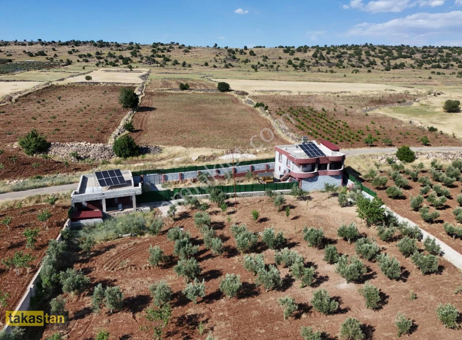 Uğurca'da 4467m² Tek Tapu, Asfaltüstü Hazır Bağ Evi Fırsatı - Görsel 13