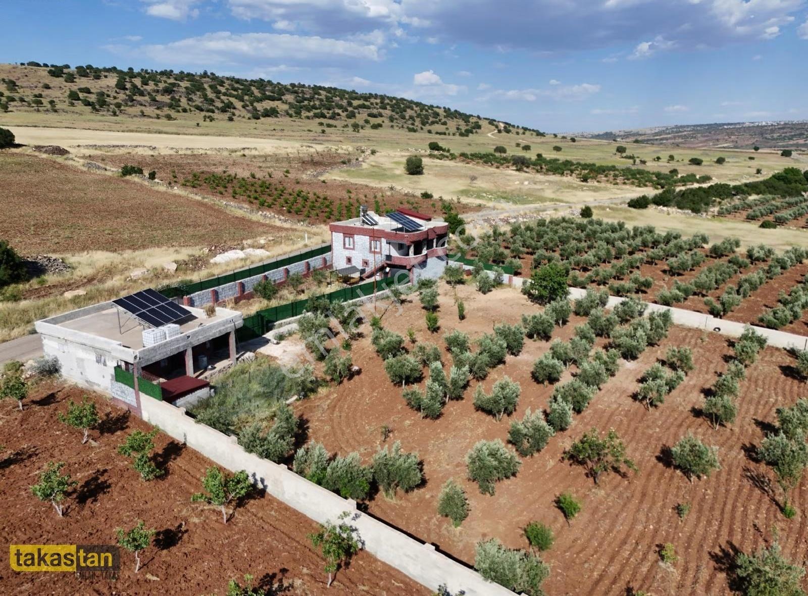 Uğurca'da 4467m² Tek Tapu, Asfaltüstü Hazır Bağ Evi Fırsatı - Görsel 5