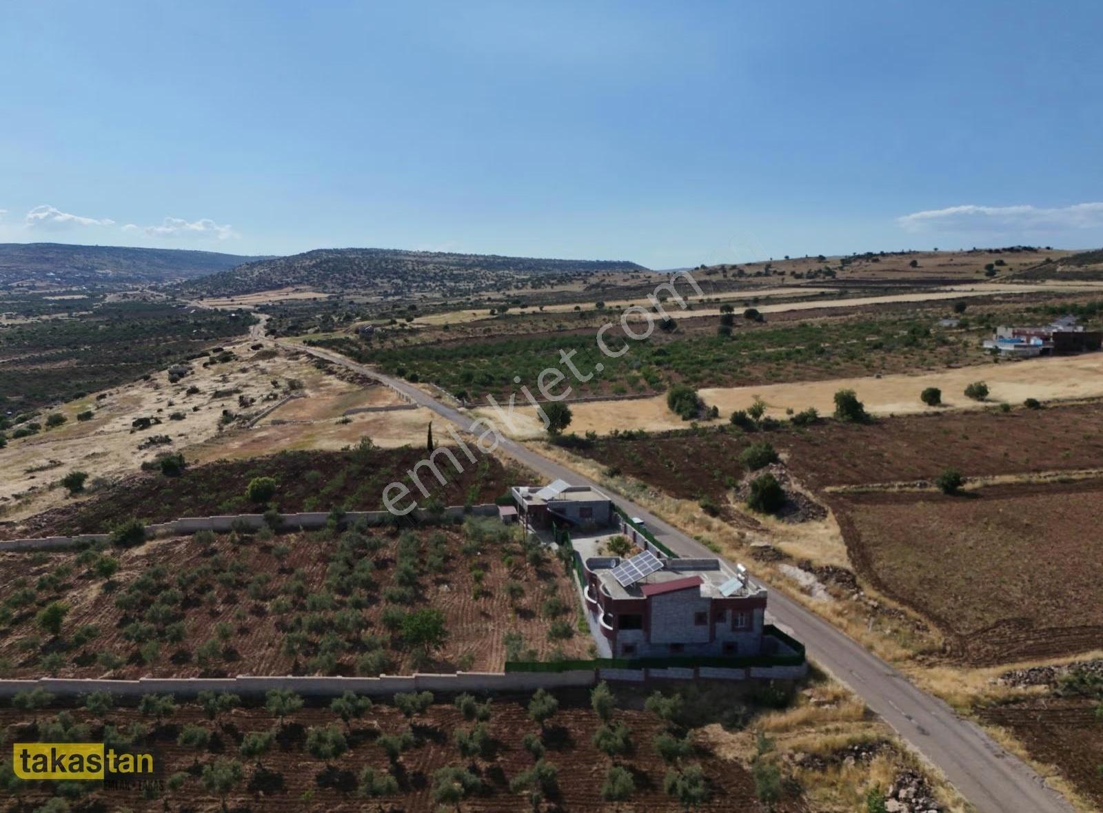 Uğurca'da 4467m² Tek Tapu, Asfaltüstü Hazır Bağ Evi Fırsatı - Görsel 15