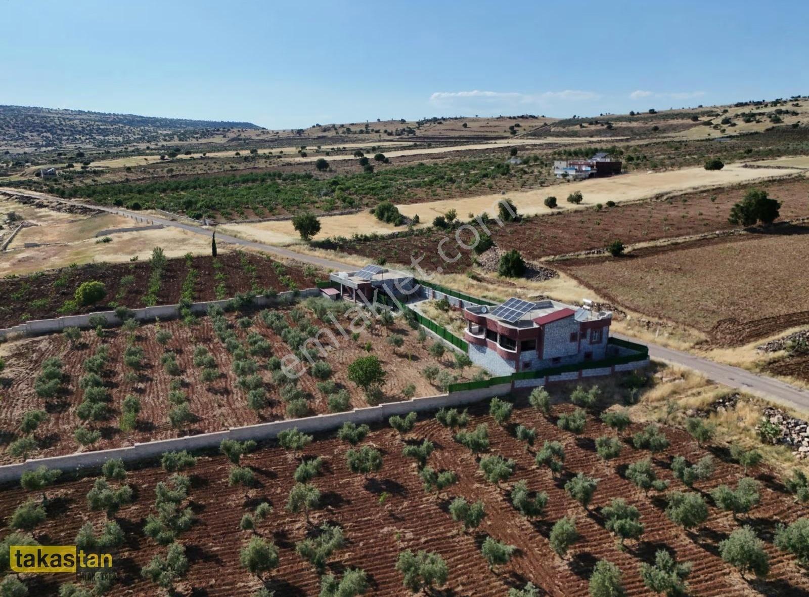 Uğurca'da 4467m² Tek Tapu, Asfaltüstü Hazır Bağ Evi Fırsatı - Görsel 7