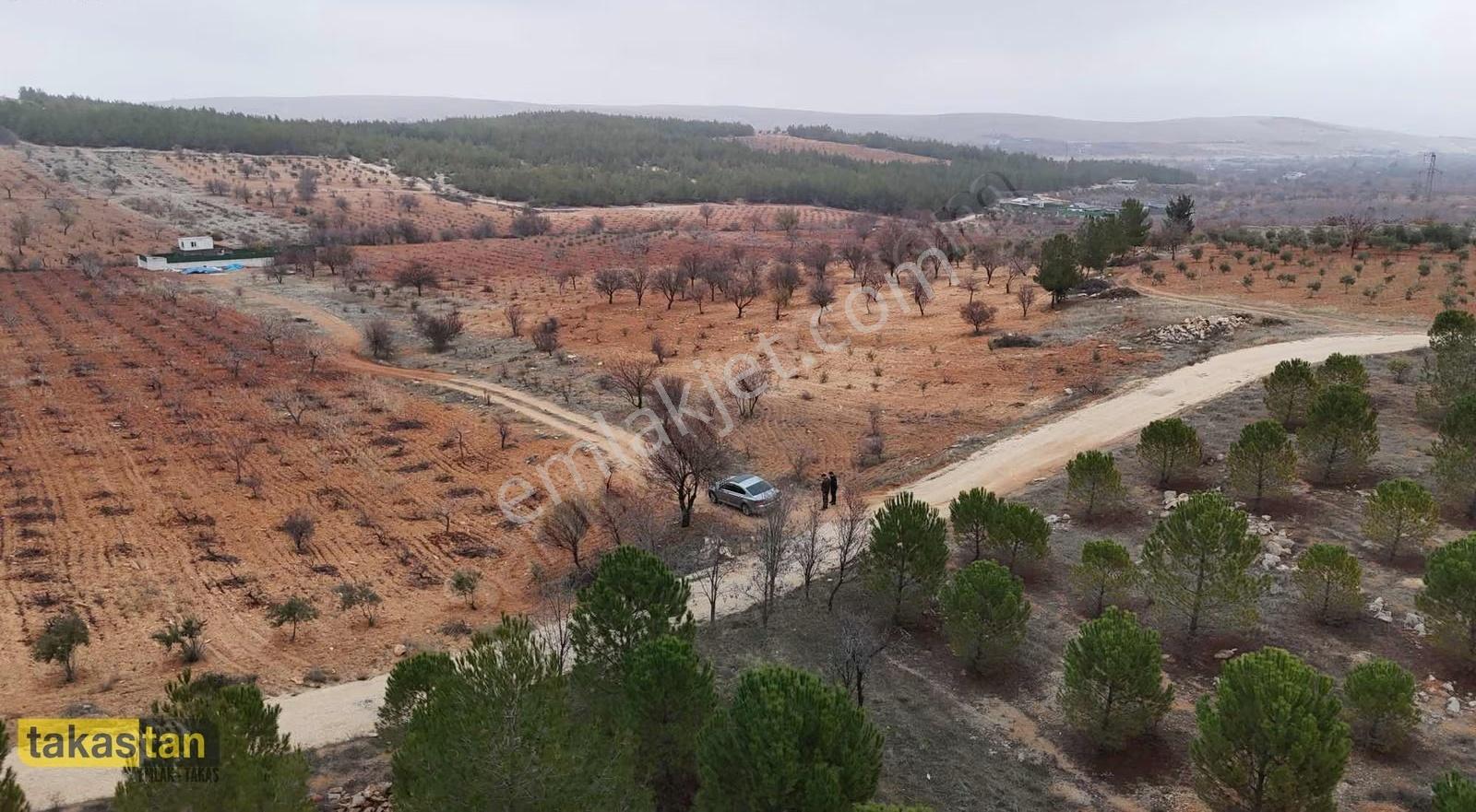Suboğaz Orman Mazaralı Yatırım Ve Bağ Evi İçin Uygun Arazi