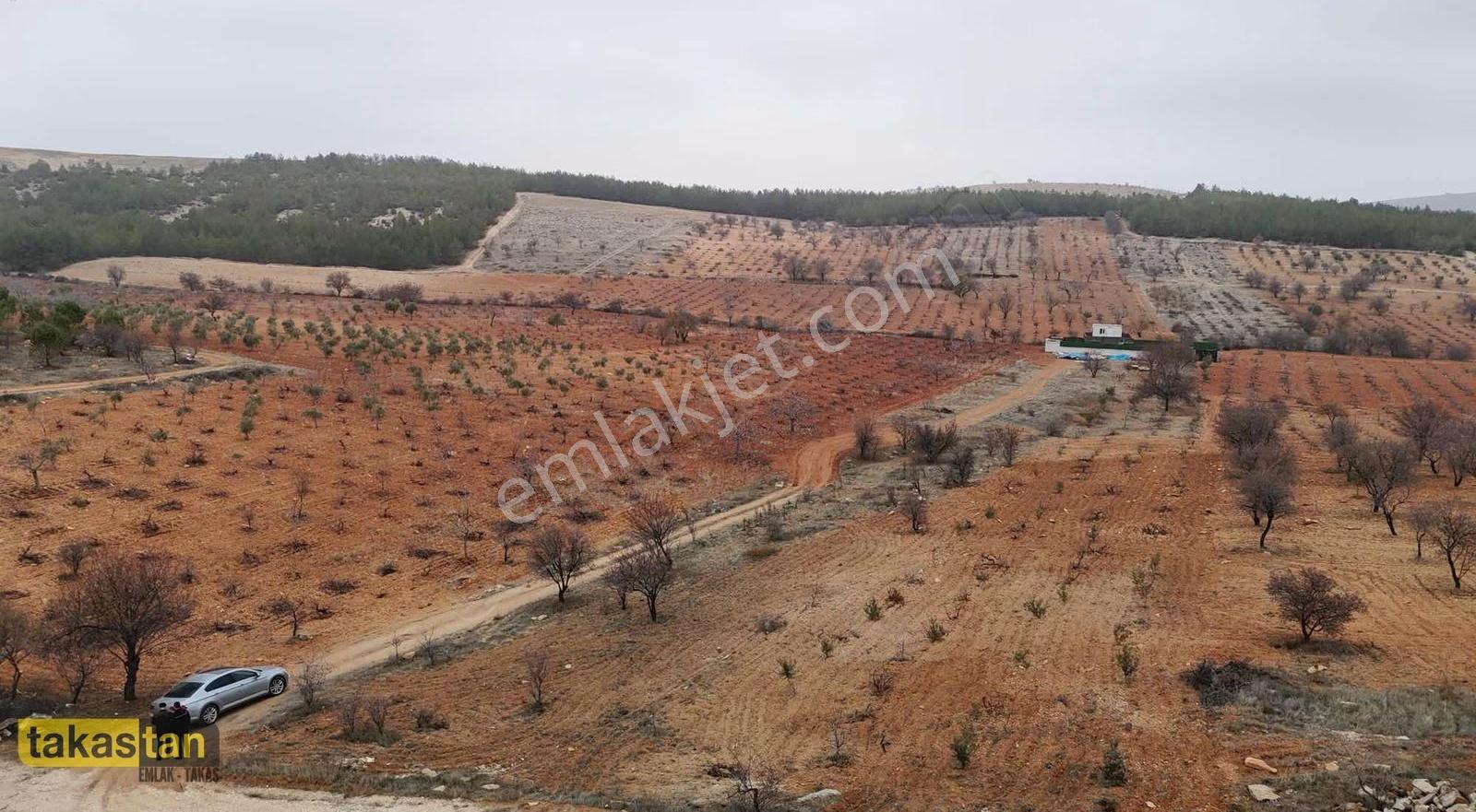 Suboğaz Orman Mazaralı Yatırım Ve Bağ Evi İçin Uygun Arazi - Görsel 3