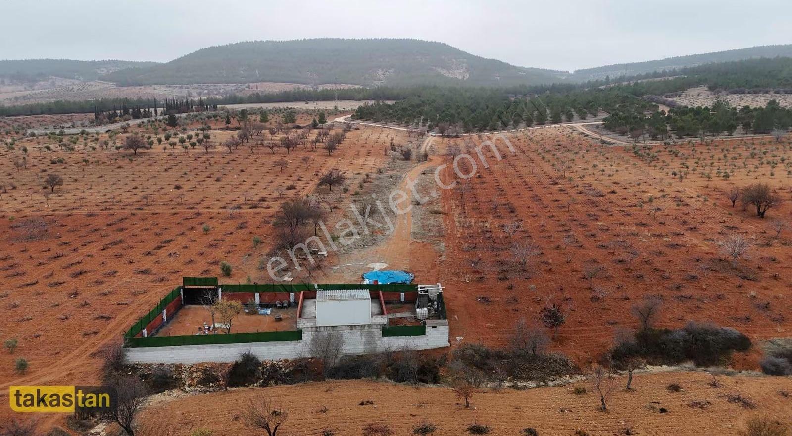 Suboğaz Orman Mazaralı Yatırım Ve Bağ Evi İçin Uygun Arazi - Görsel 9