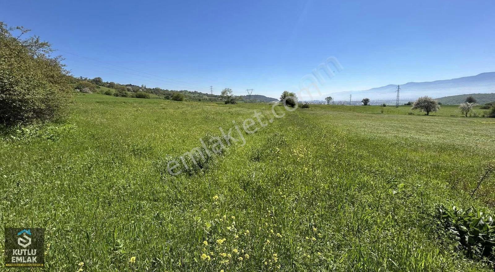Yumrukaya Köyü Satılık 590 M2 Tarla - Görsel 11