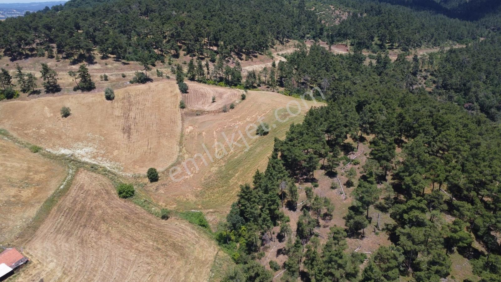 Çanakkale Çan Yaykın Köyünde Satılık Tarla - Görsel 27