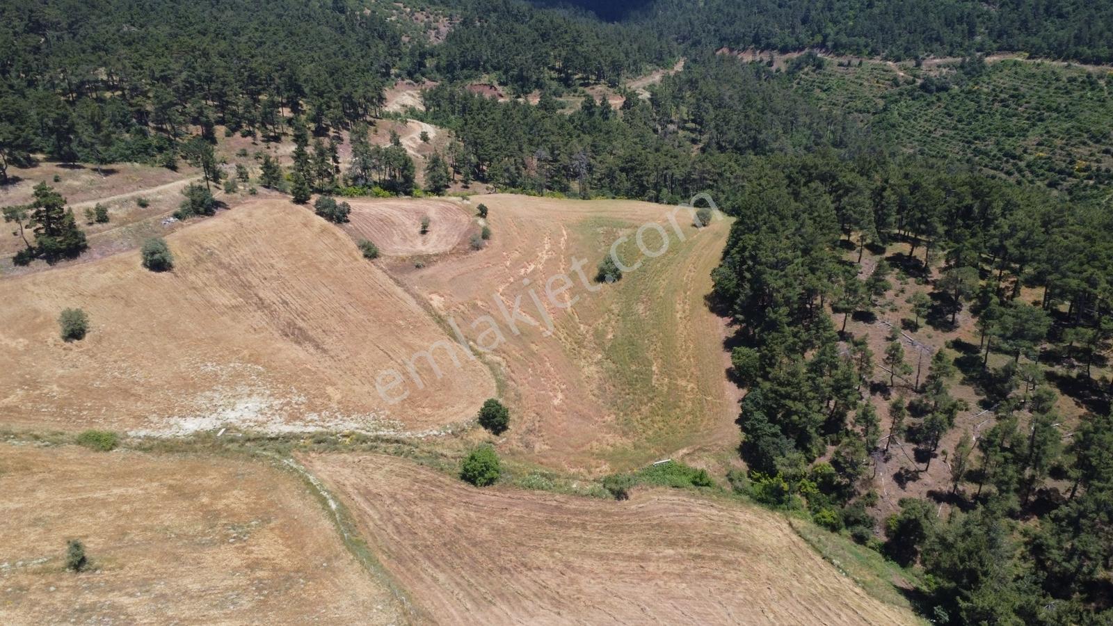 Çanakkale Çan Yaykın Köyünde Satılık Tarla - Görsel 9