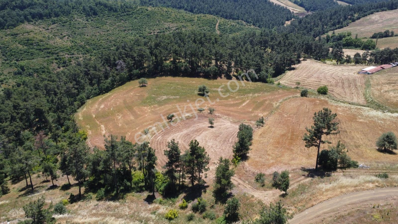 Çanakkale Çan Yaykın Köyünde Satılık Tarla - Görsel 6
