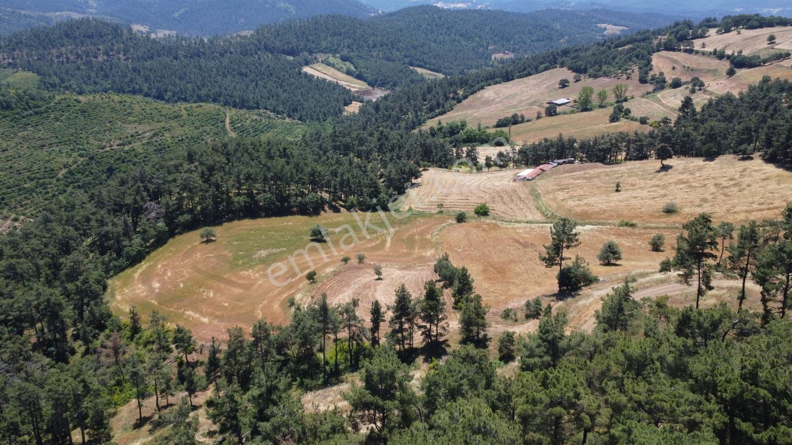 Çanakkale Çan Yaykın Köyünde Satılık Tarla - Görsel 33