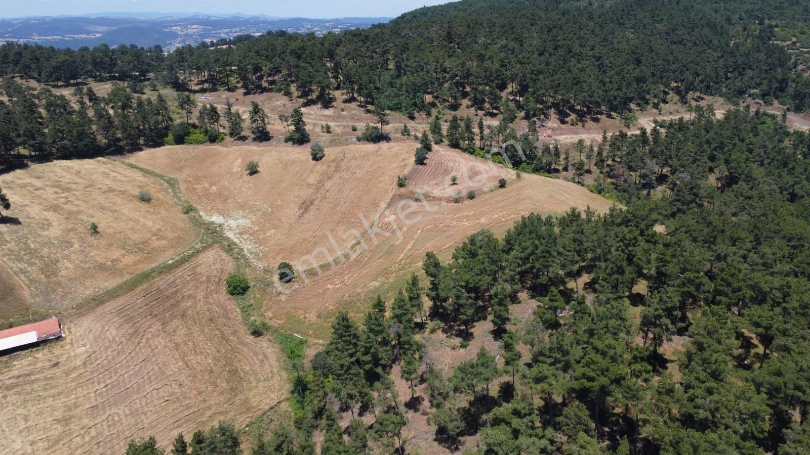 Çanakkale Çan Yaykın Köyünde Satılık Tarla - Görsel 28