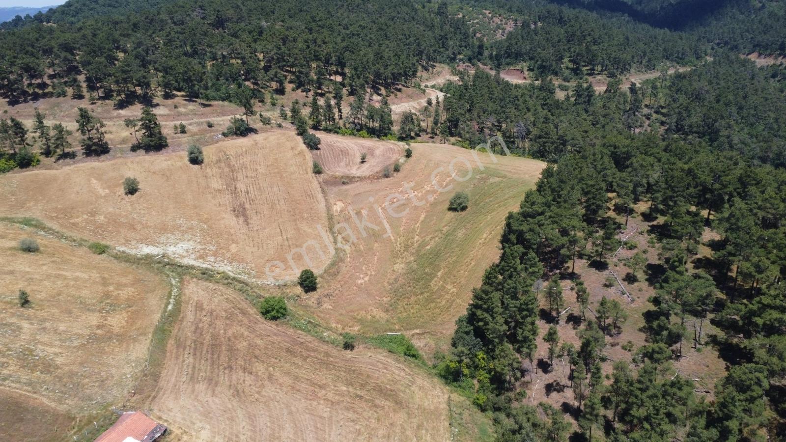 Çanakkale Çan Yaykın Köyünde Satılık Tarla - Görsel 26