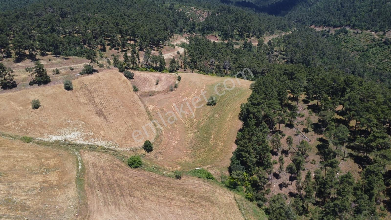 Çanakkale Çan Yaykın Köyünde Satılık Tarla - Görsel 15