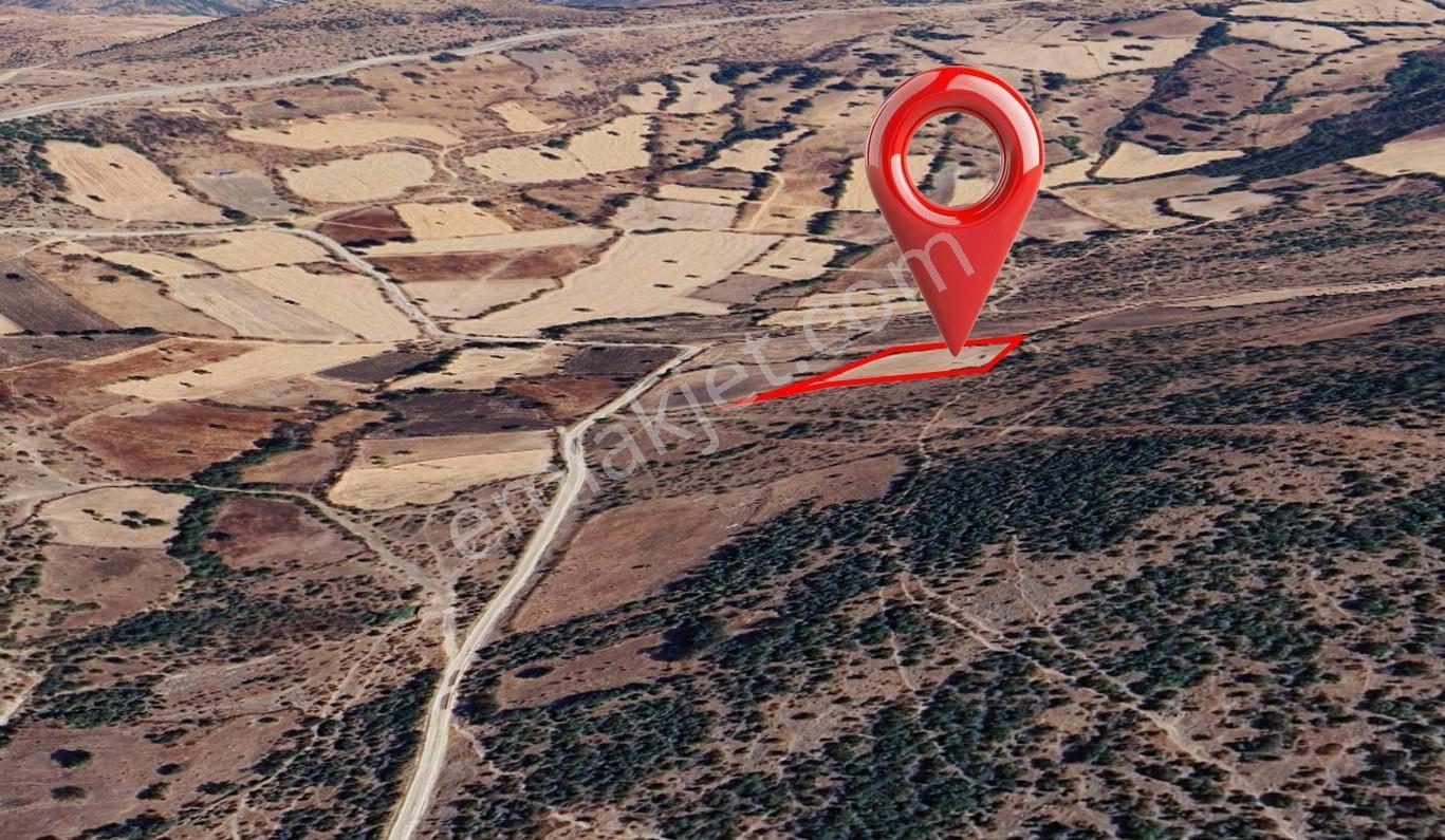 Kepsut'ta Geleceğe Yatırım Köye Yakın, 5.439 M² Satılık Tarla - Görsel 3