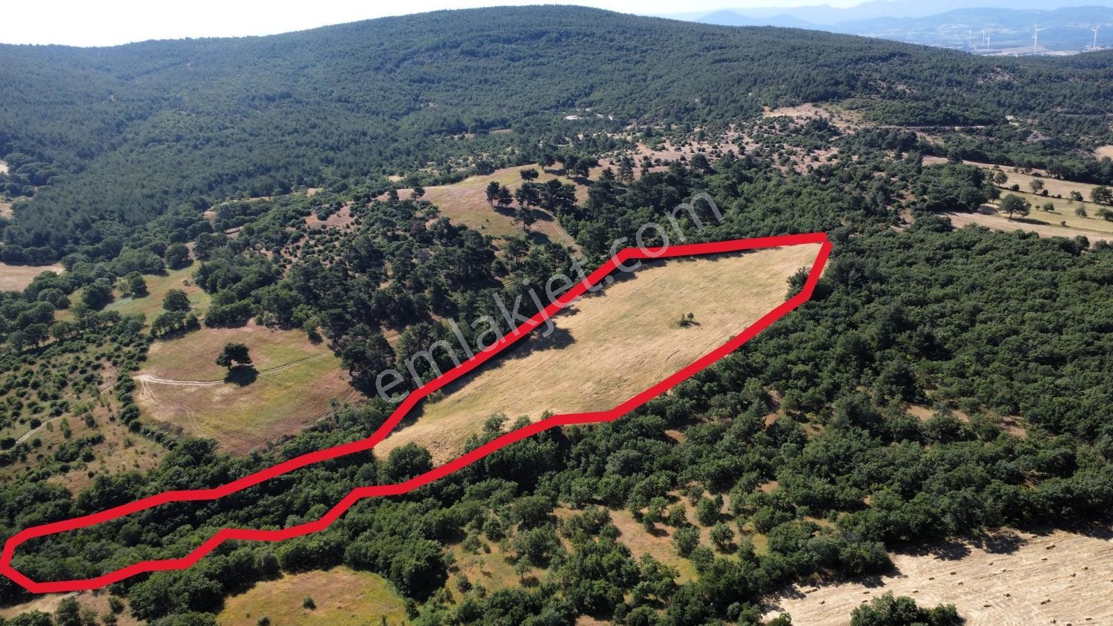 Çanakkale Bayramiç Aşağışapçı Köyün'nde Satılık Tarla