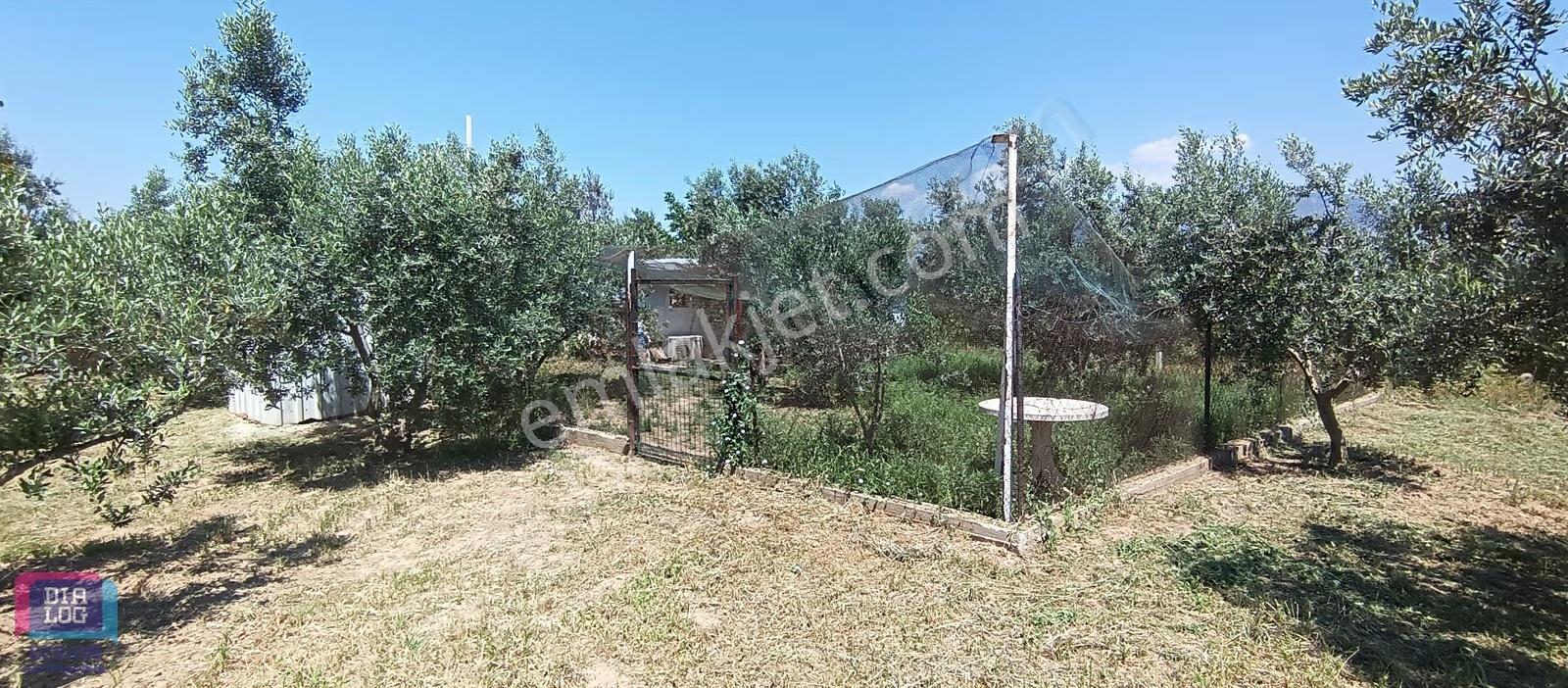 Aşağıkızılca'da Huzur Ve Sakinlik Arayanlar İçin Tam Yeri - Görsel 9