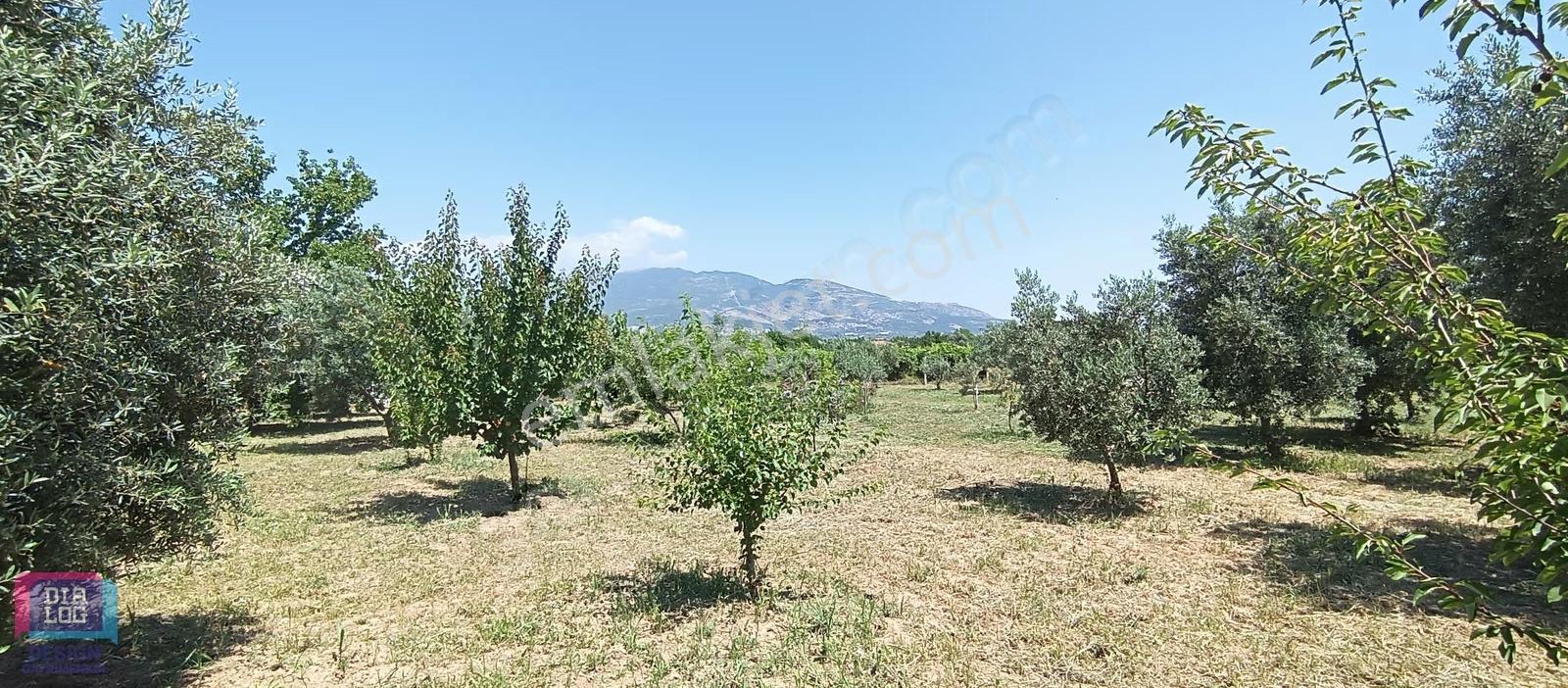 Aşağıkızılca'da Huzur Ve Sakinlik Arayanlar İçin Tam Yeri - Görsel 19