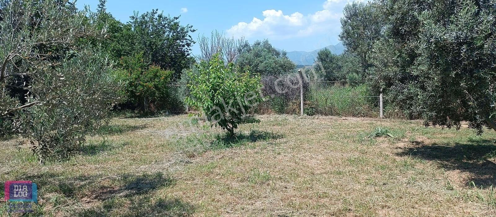 Aşağıkızılca'da Huzur Ve Sakinlik Arayanlar İçin Tam Yeri - Görsel 22