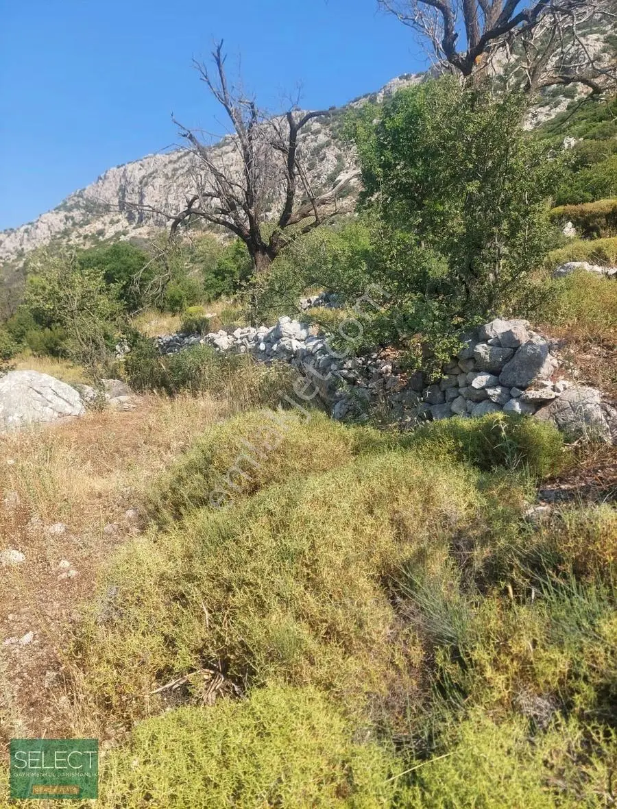 Select Gayrimenkul'den Marmaris Söğütte Yatırımlık Tarla - Görsel 3