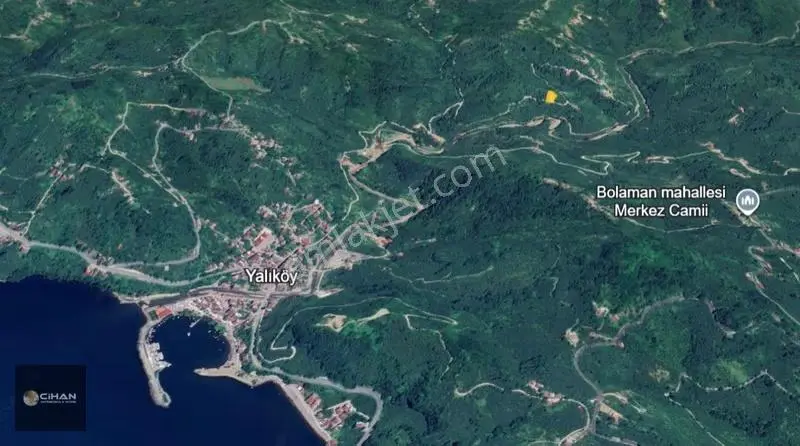 Ordu Perşembe Yeşilköy(yalıköy Mevkii) Satılık Bahçe