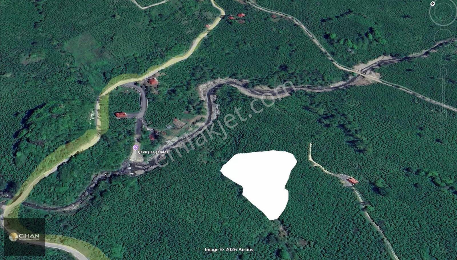 Ordu Teyneli-çavuşlar Şelale Karşısı Acil Satılık Fındık Bahçesi