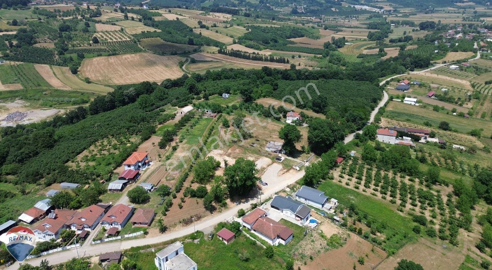 Serdivanda Satılık Arsa 1000 M² Re/max Mavi Tuncay Şen'den - Görsel 6