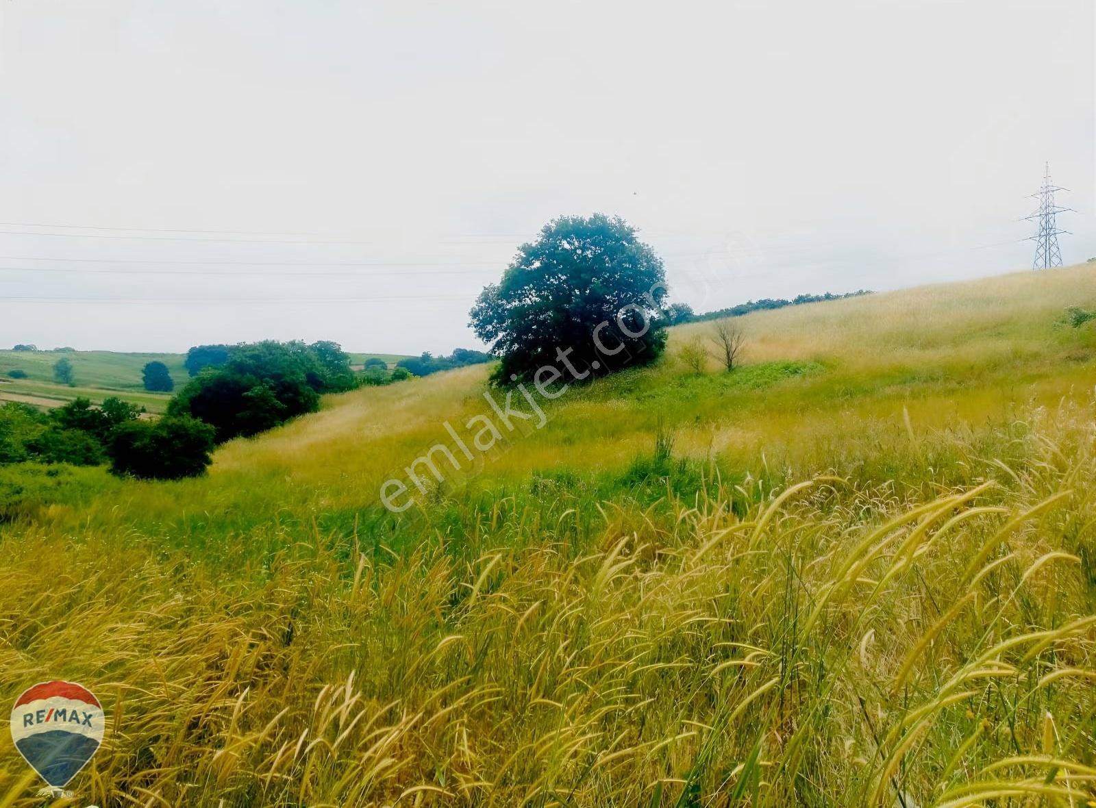 Remax Maviden Kaynarca Eğrioğlunda 2096 M2 Satılık Arazi. - Görsel 15
