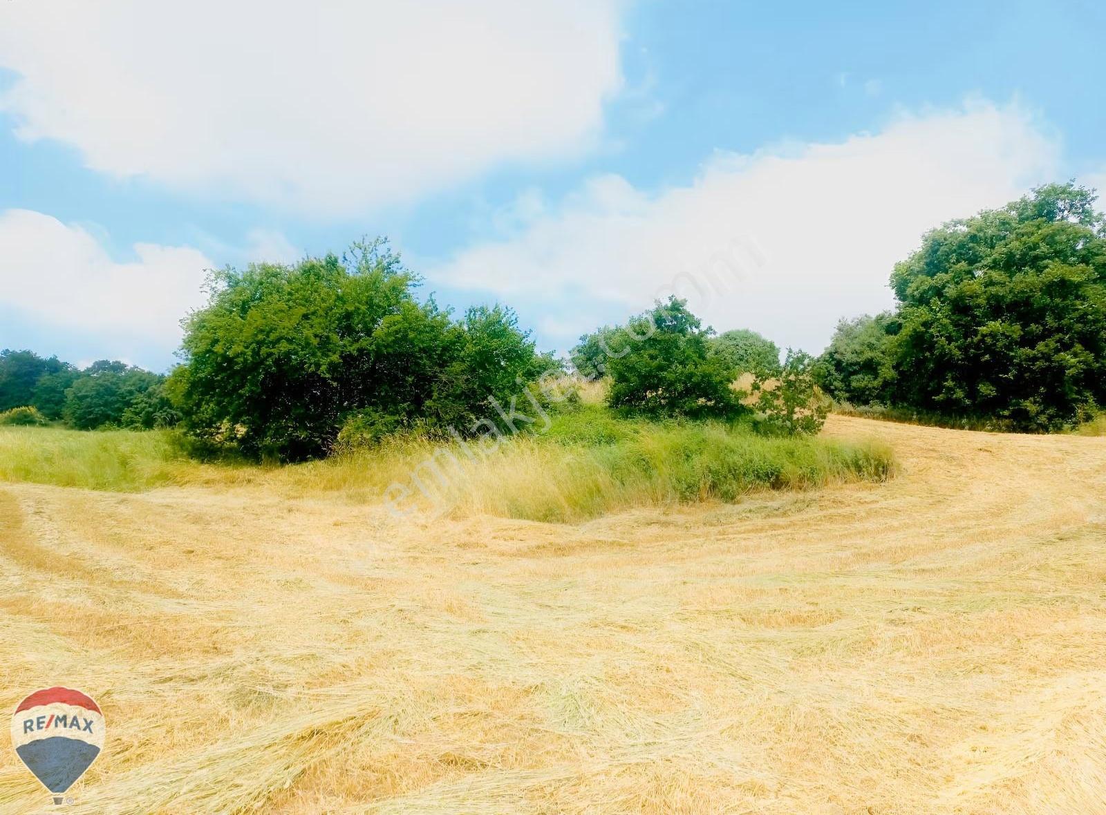 Remax Maviden Kaynarca Eğrioğlunda 2096 M2 Satılık Arazi. - Görsel 9