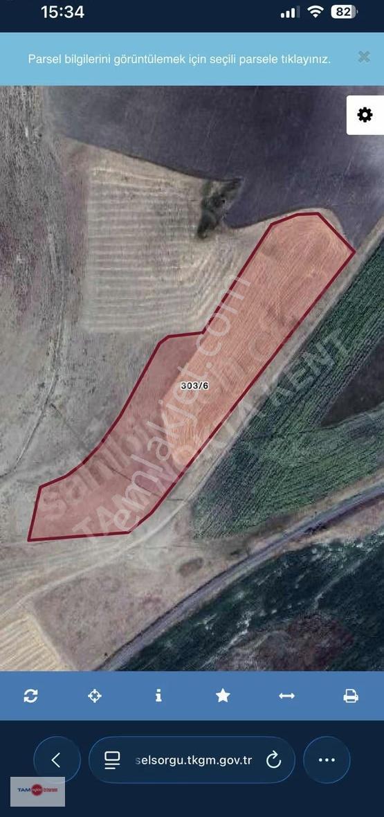 Tam Nokta Kent'ten Aşkale Kandilli (tazegül'de) Satılık Tarla