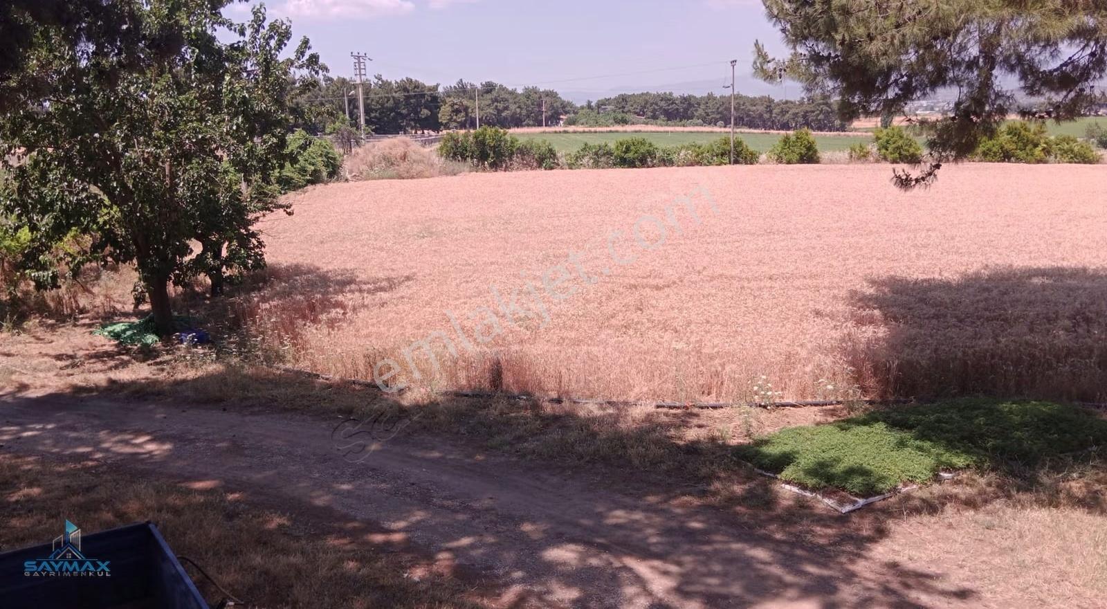 İzmir -buca-karaağaç'ta 46.500 M2 Satılık Tarla/bağ/bahçe/ev.... - Görsel 6