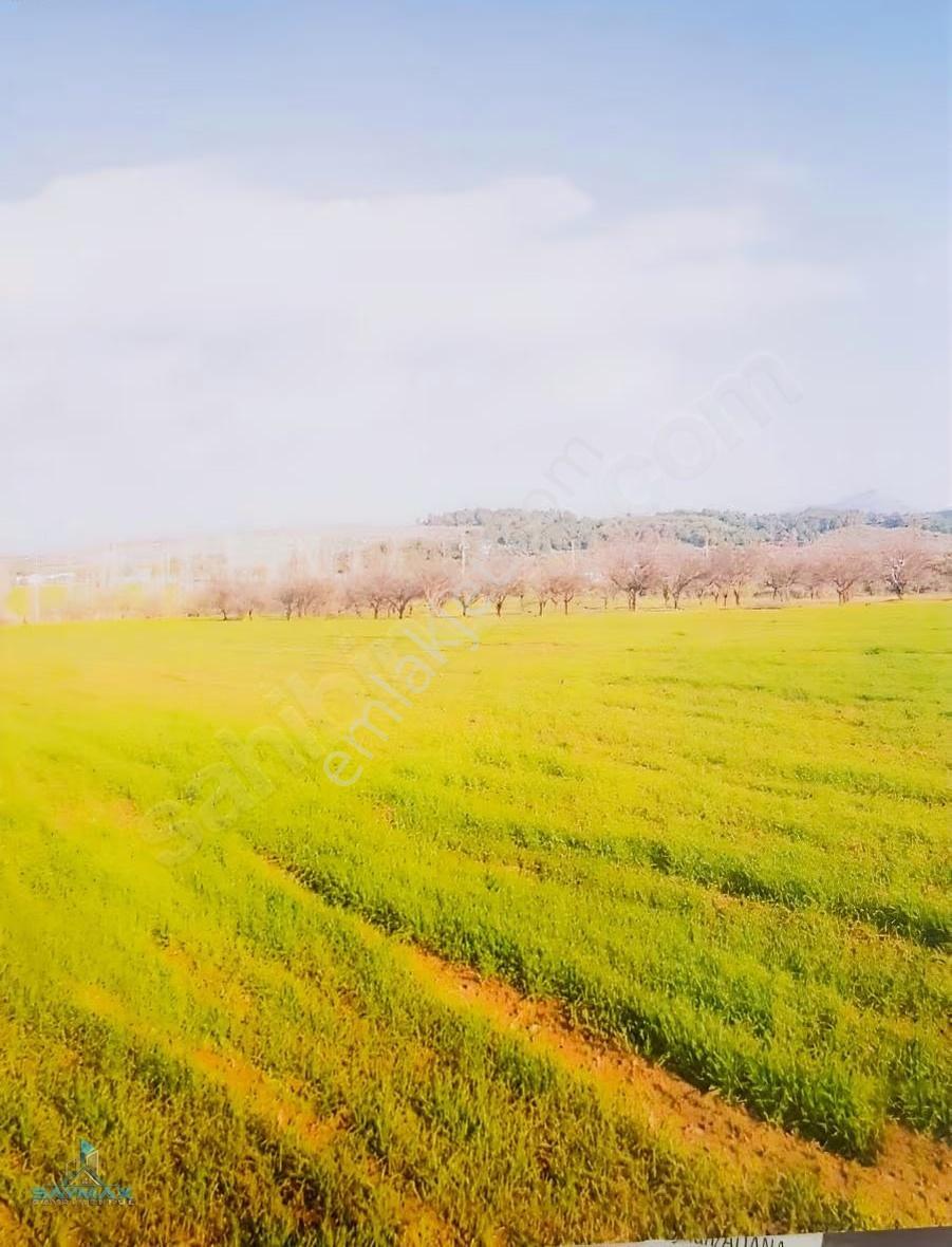 İzmir -buca-karaağaç'ta 46.500 M2 Satılık Tarla/bağ/bahçe/ev.... - Görsel 8