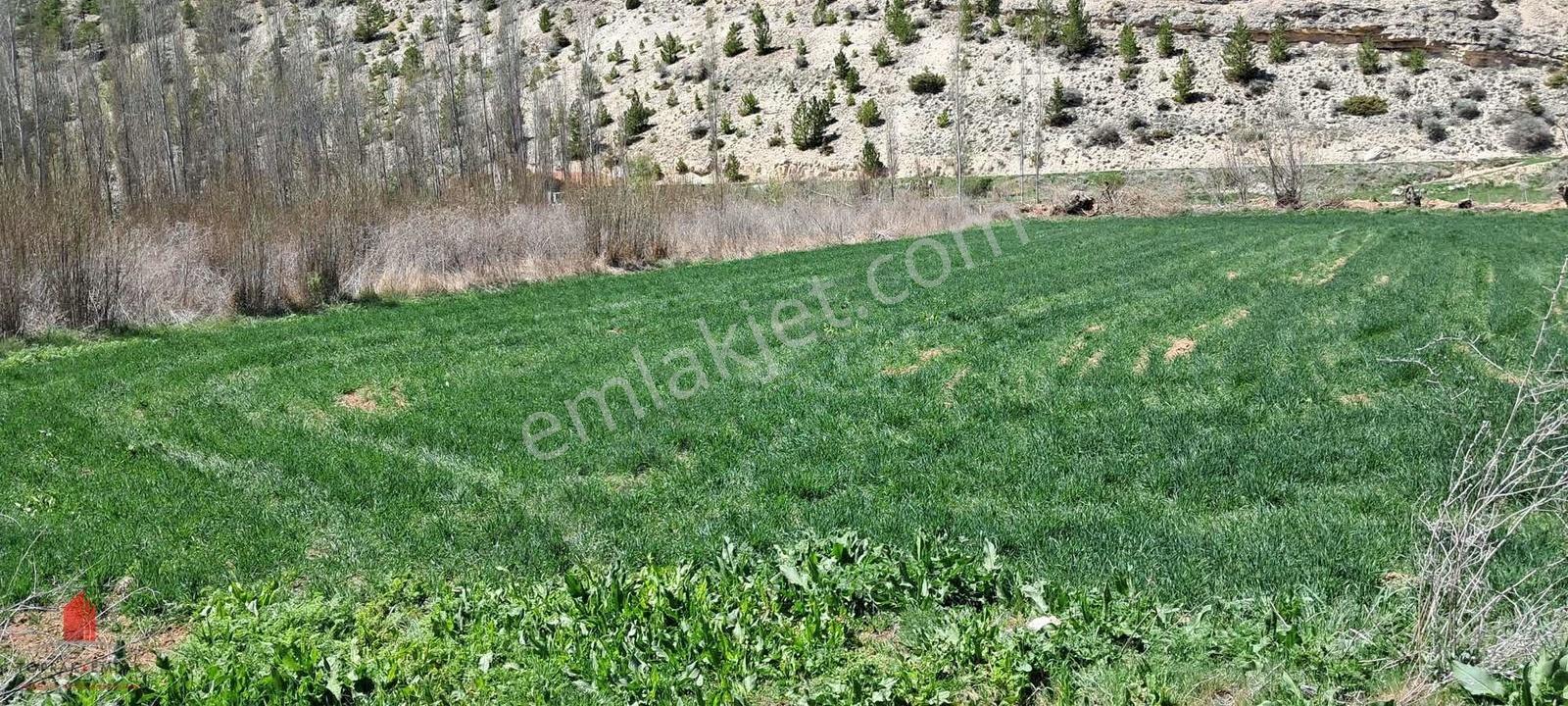 Başarakavakta Dere Kenarında 3068m2 Müstakil Satılık Bahçe - Görsel 10
