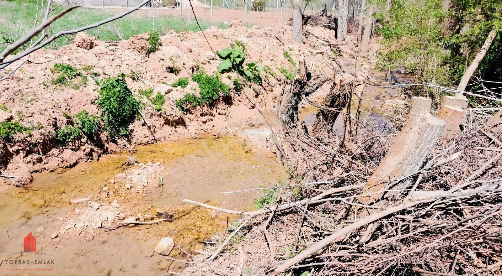 Başarakavakta Dere Kenarında 3068m2 Müstakil Satılık Bahçe - Görsel 6
