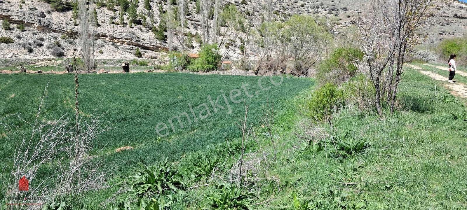 Başarakavakta Dere Kenarında 3068m2 Müstakil Satılık Bahçe - Görsel 18