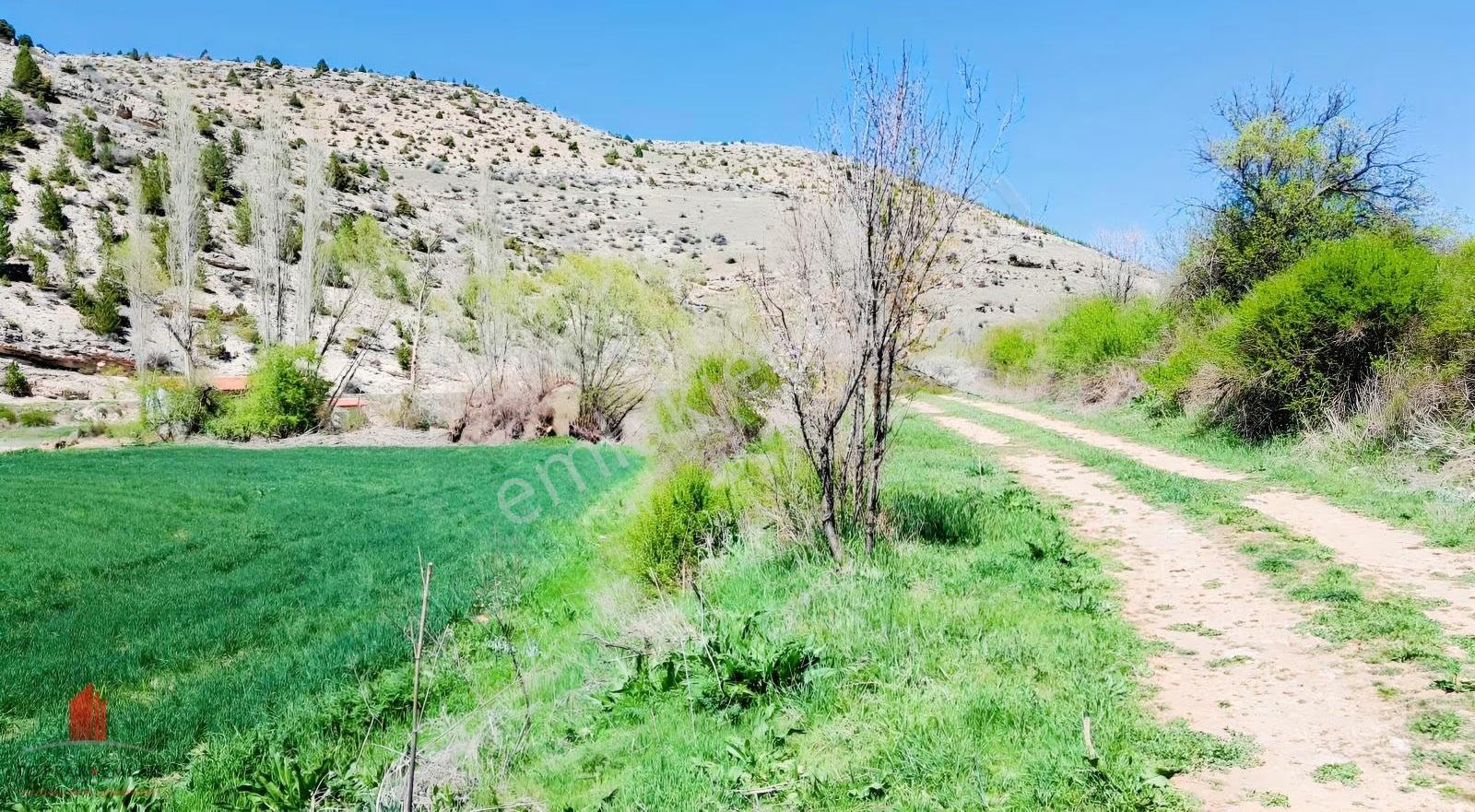 Başarakavakta Dere Kenarında 3068m2 Müstakil Satılık Bahçe - Görsel 16