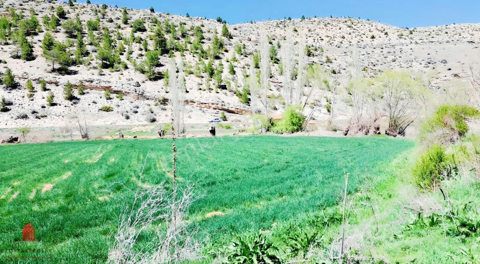 Başarakavakta Dere Kenarında 3068m2 Müstakil Satılık Bahçe - Görsel 22