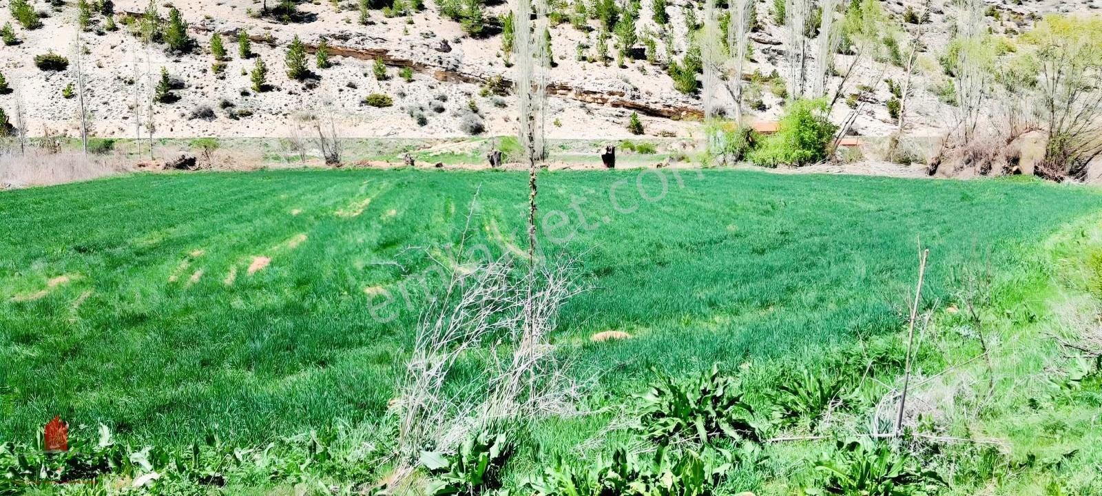 Başarakavakta Dere Kenarında 3068m2 Müstakil Satılık Bahçe - Görsel 19