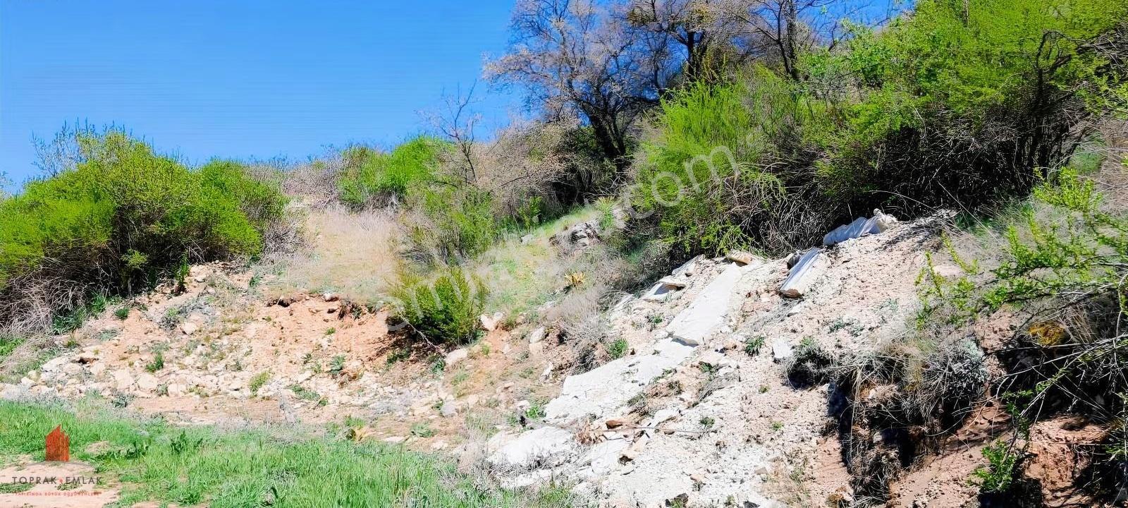 Başarakavakta Dere Kenarında 3068m2 Müstakil Satılık Bahçe - Görsel 17
